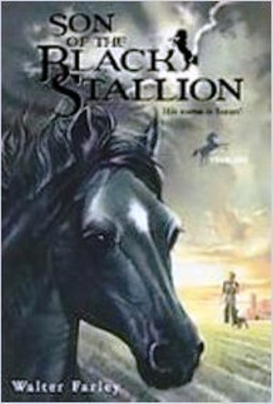 Son Of The Black Stallion